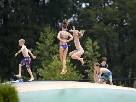 Woodlodge XL 588, Chalet spacieux dans le parc avec piscine - Photo 22