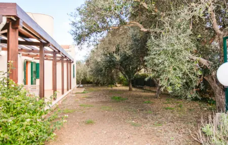 Villa Olivi, Maison 5 personnes à Santa Maria del Focall - Photo 7