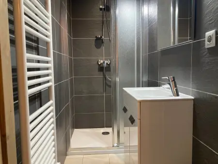 Grand appartement lumineux, 10 pers, animaux admis, 250m des pistes - Photo 10