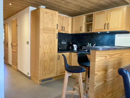 Appartement lumineux 3 pièces près des pistes, animaux admis - Photo 3