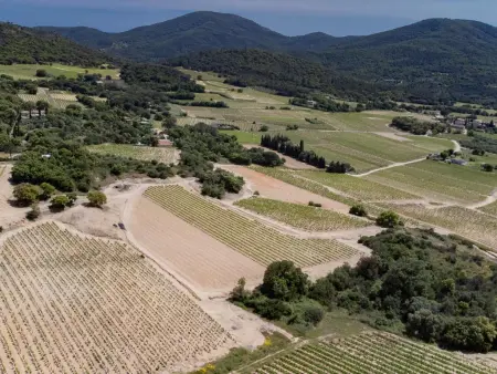 Entre les vignes, Villa rurale avec piscine privée et Clim - Photo 12