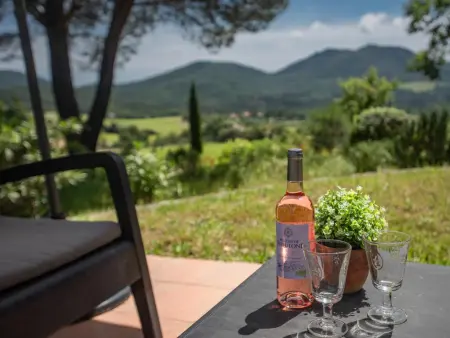 Entre les vignes, Villa rurale avec piscine privée et Clim - Photo 40
