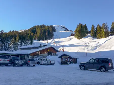 Edelweiss, Appartement 4 personnes à Champoussin - Photo 17