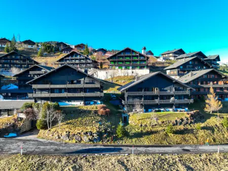 Edelweiss, Appartement 4 personnes à Champoussin - Photo 25