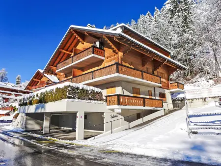 Le Schuss 1, Appartement 4 personnes à Gryon - Photo 24