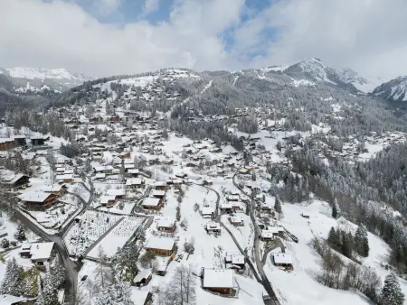 Le Schuss 1, Appartement 4 personnes à Gryon - Photo 28