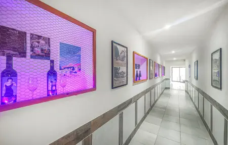 Appartement 4 personnes à Saint Chinian - Photo 9