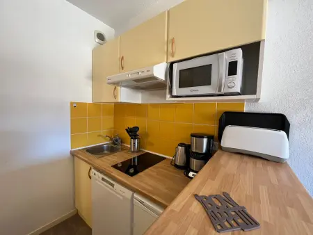 Appartement T2 avec terrasse et accès Spassio, proche des pistes, 6 pers, animaux acceptés - Photo 3