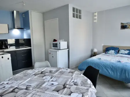 Plouhinec: Studio charmant avec WiFi, parking et animaux admis - Photo 2