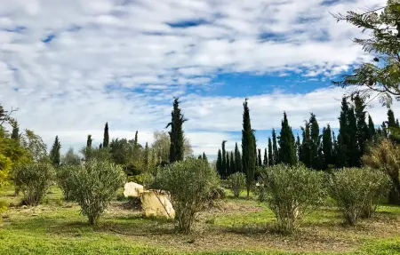 Maison 8 personnes à Porreres - Photo 16