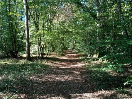 Gîte familial au calme avec jardin clos, près d'Orléans - Photo 31
