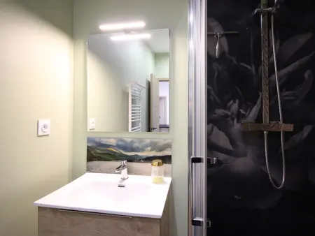 La Bourboule Appartement T2 avec WiFi près des Thermes - Photo 12