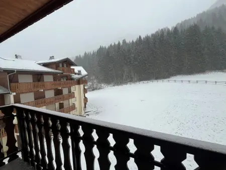 Appartement Châtel 4 pers, 50m², proche station - Photo 13