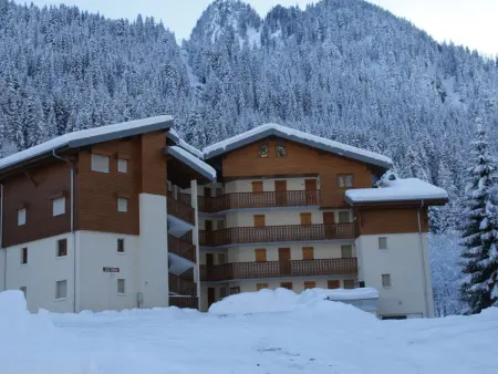 Appartement Châtel 4 pers, 50m², proche station - Photo 14
