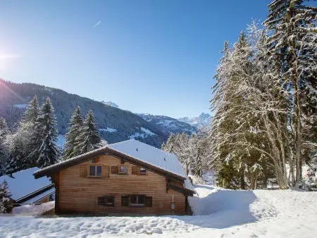 Chalet Casablanca, Chalet 8 personnes à Gryon - Photo 45
