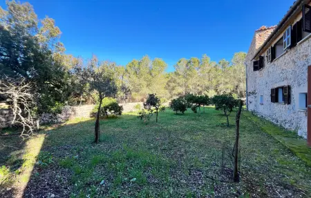 Son Amer des Pla, Maison 9 personnes à Algaida - Photo 18