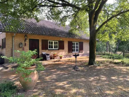 Mc Ghil, Maison de vacance de conte de fée dans la forêt - Photo 2