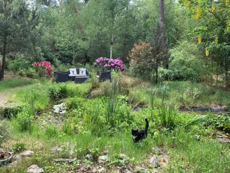 Mc Ghil, Maison de vacance de conte de fée dans la forêt - Photo 25
