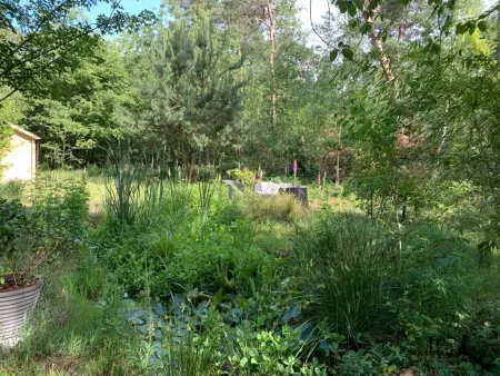 Mc Ghil, Maison de vacance de conte de fée dans la forêt - Photo 26