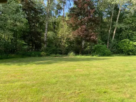Mc Ghil, Maison de vacance de conte de fée dans la forêt - Photo 27