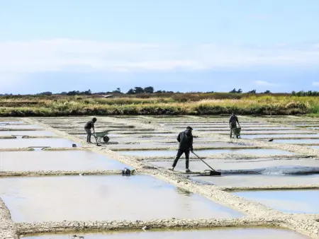 La Bosse XL (Villa + Dépendance), Maison 10 personnes à Ile de Noirmoutier - Photo 30