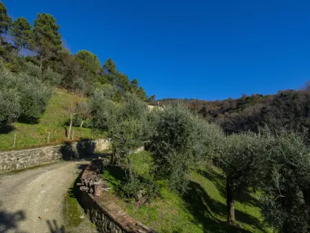 Il Paradiso, Maison 6 personnes à Montecatini Terme - Photo 53
