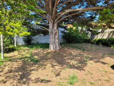 Maison 57m² à 700m de la plage - 6 pers - Wifi et animaux admis - Photo 10