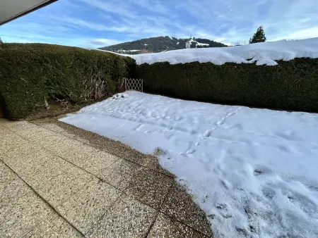Charmant appartement 3 pièces, jardin, parking et wifi à Demi-Quartier - Photo 12