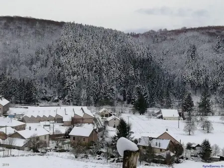Gîte 2 chambres avec WiFi, proche Luxeuil-les-Bains - Photo 32