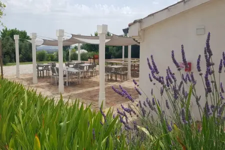 Gelso, Manoir à Marche avec piscine et vue mer - Photo 18