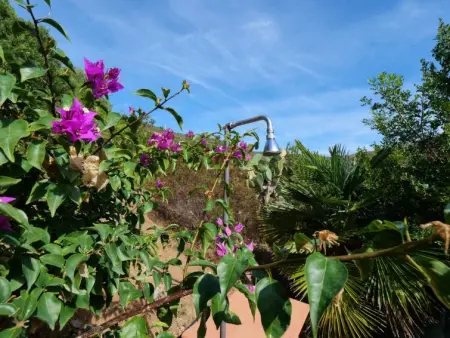 Panorama II, Maison 3 personnes à Capoliveri - Photo 27