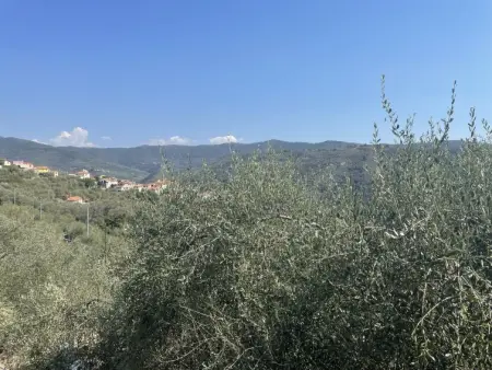 Casa Maria (DOL135), Maison 6 personnes à Dolcedo - Photo 20