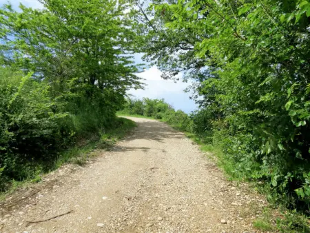 Sociano, Gite 10 personnes à Lago di Bolsena - Photo 26