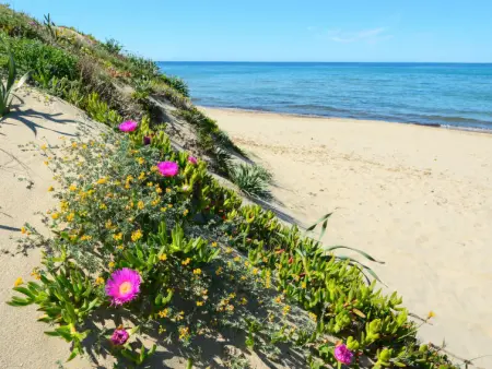 Villa Margherita, Maison 10 personnes à Platamona - Photo 38