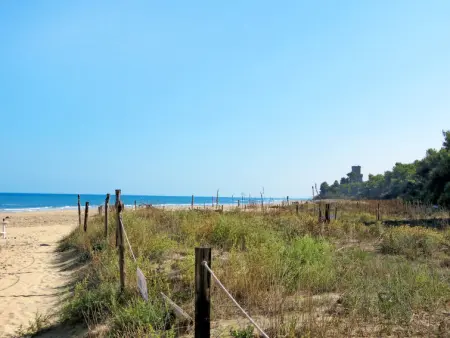 Michela, Maison 10 personnes à Pineto - Photo 34