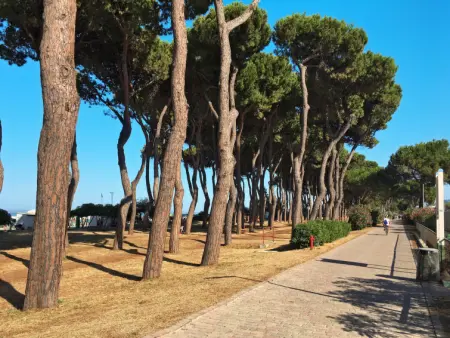 Michela, Maison 10 personnes à Pineto - Photo 36