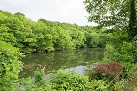 Le Jardin des Eaux, Spacieux cottage à Robertville avec piscine - Photo 3