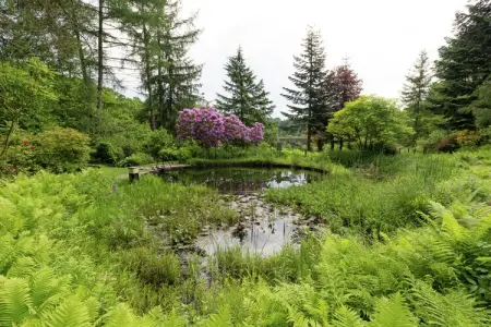 Le Jardin des Eaux, Spacieux cottage à Robertville avec piscine - Photo 25