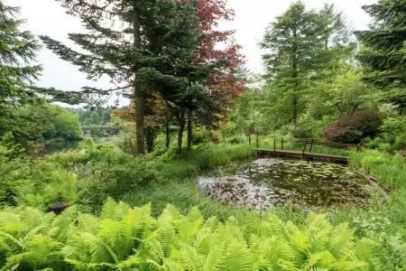 Le Jardin des Eaux, Spacieux cottage à Robertville avec piscine - Photo 26