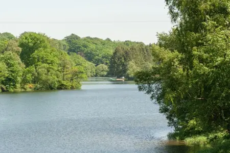 Le Jardin des Eaux, Spacieux cottage à Robertville avec piscine - Photo 31