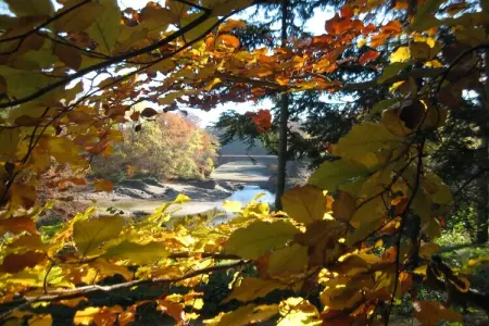 Le Jardin des Eaux, Spacieux cottage à Robertville avec piscine - Photo 32