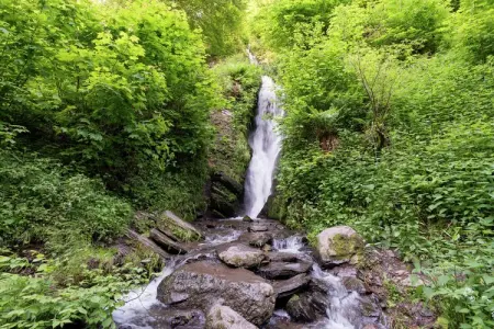 Le Jardin des Eaux, Spacieux cottage à Robertville avec piscine - Photo 33