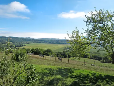 Ginestre 2, Gite 4 personnes à Pari - Photo 17