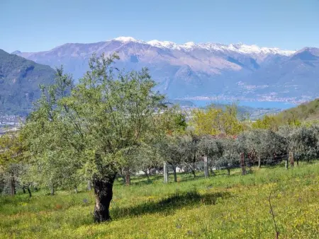 Casa Kiwi, Maison 6 personnes à Cercino - Photo 31