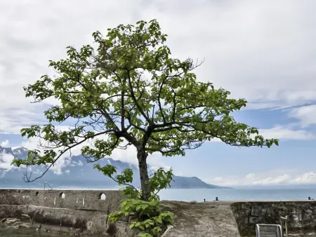 Duck House, Villa 7 personnes à Montreux - Photo 30