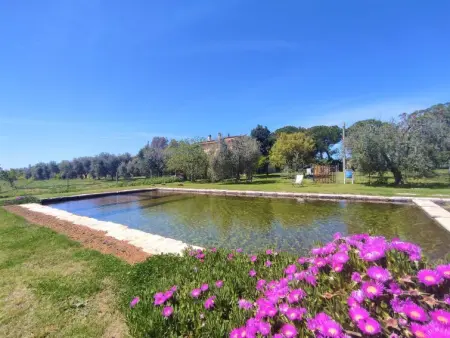 Nord, Gite 4 personnes à Roccastrada - Photo 14