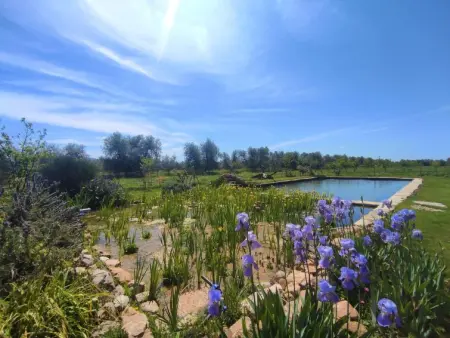 Nord, Gite 4 personnes à Roccastrada - Photo 20