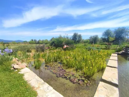 Nord, Gite 4 personnes à Roccastrada - Photo 23