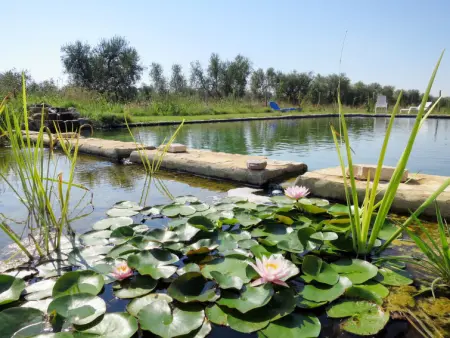 Nord, Gite 4 personnes à Roccastrada - Photo 25