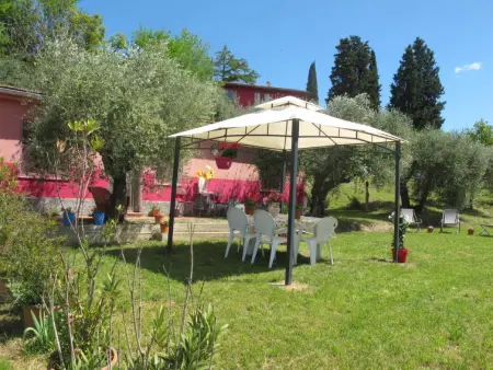 Podere Conte Francesco-Carla, Maison 4 personnes à Certaldo - Photo 16